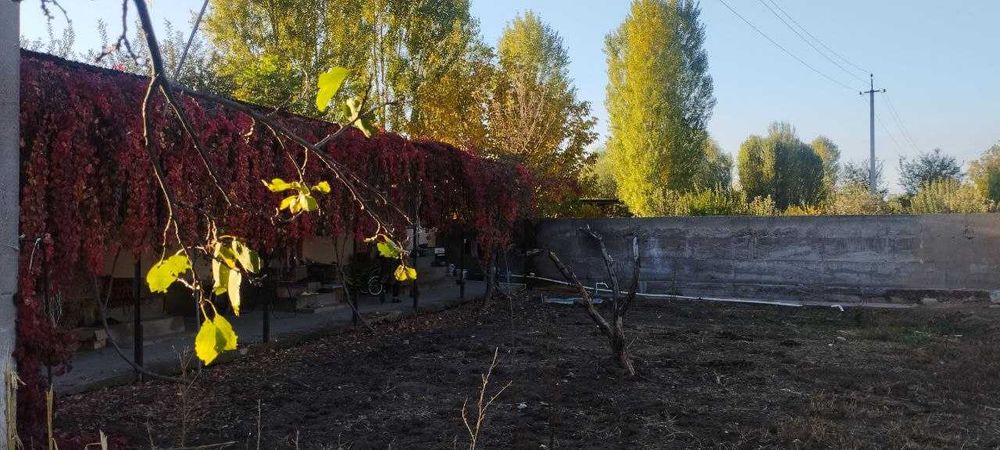 Продаётся дом участок.