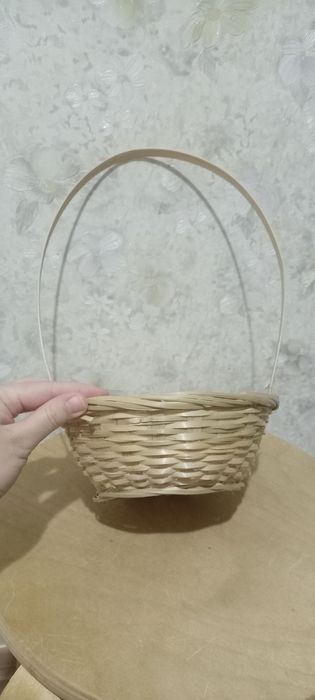 Ракушки с Анапы раковины