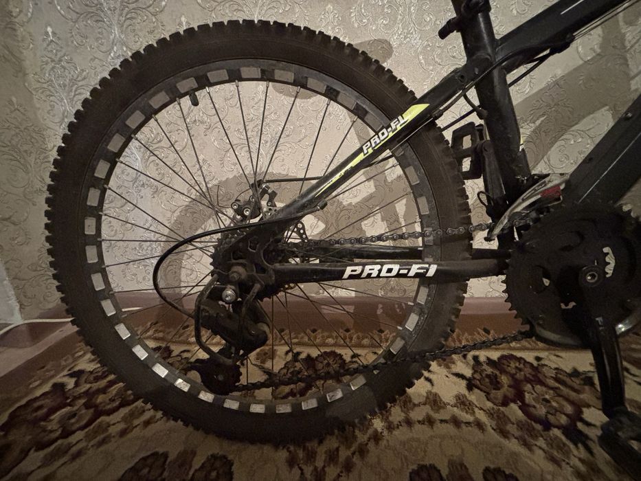 Pro fi велик жаксы багада