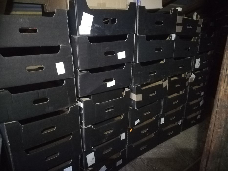 Cutii de cartoane pentru mere .