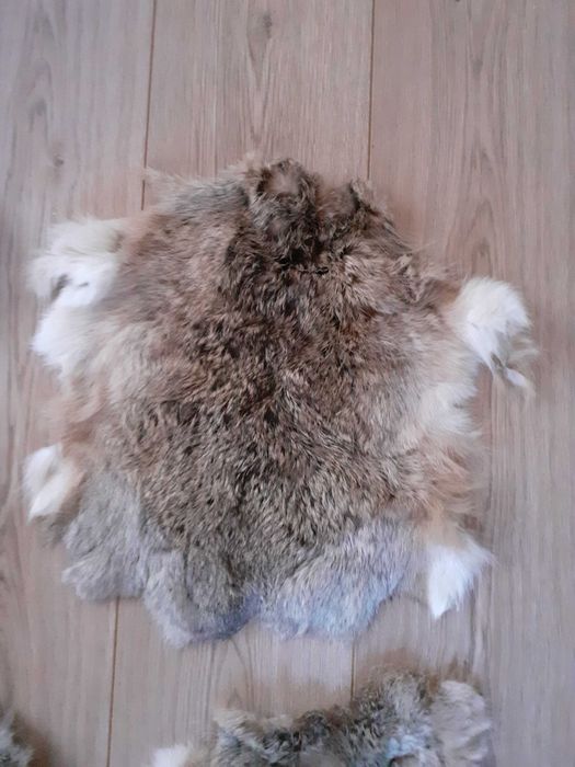 Piei/Blanuri argasite de iepure