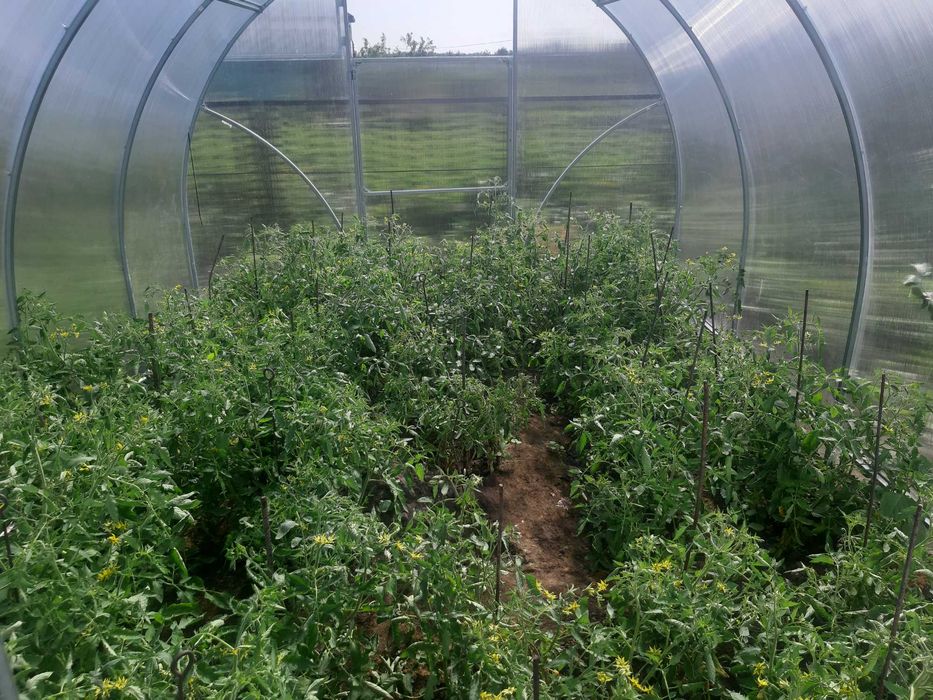 Продам Дачу с/о Борки