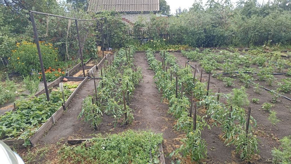 Дача СО Автомобилист