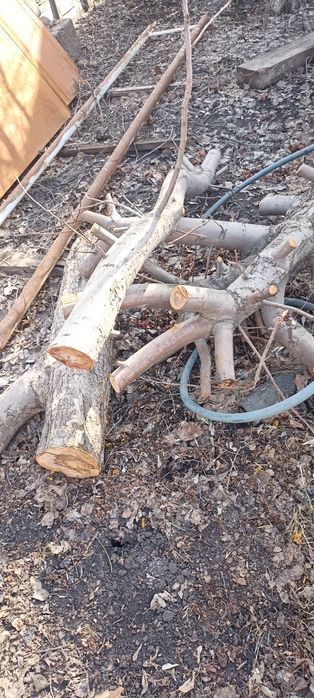 Ағаш отынға . Дрова