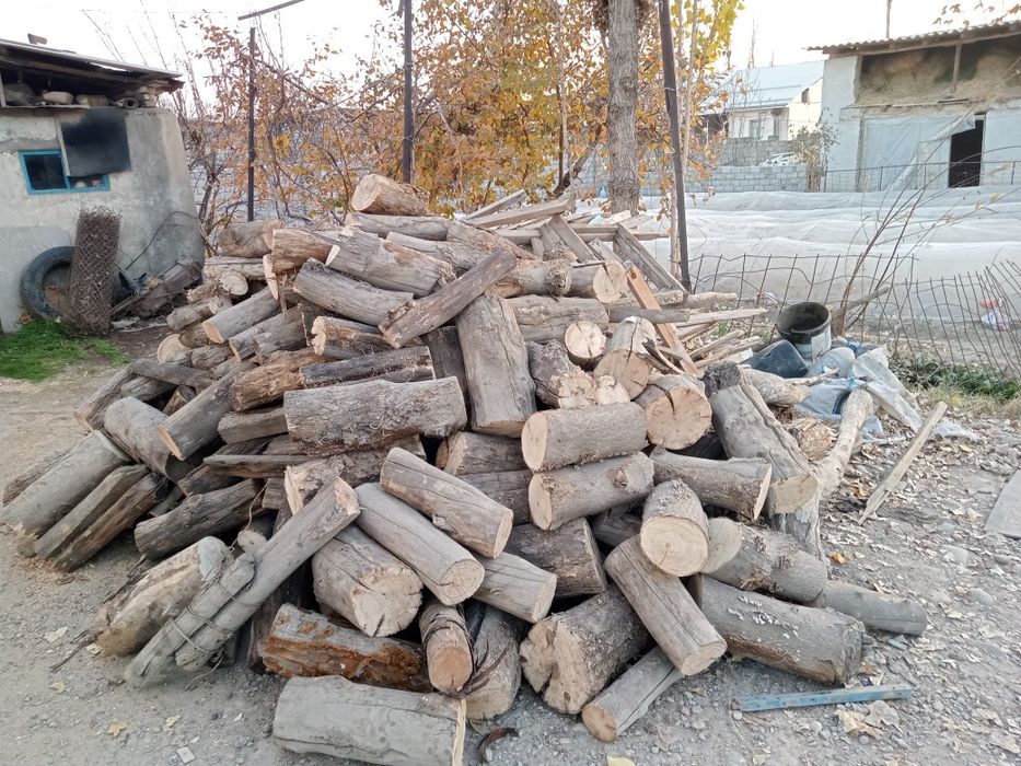 Oʻtin , yaxshi yonadigan quruq