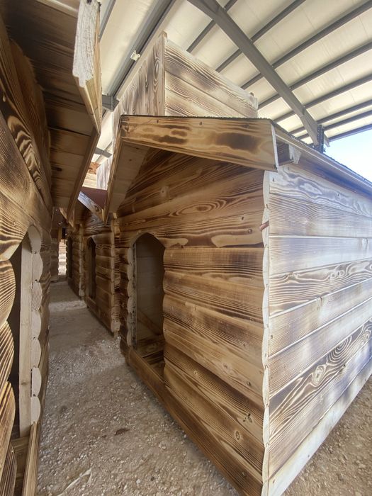 Кучешки колиби.