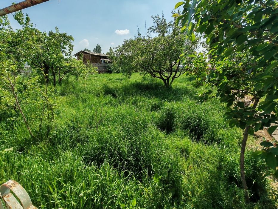 Продаётся дом, большой участок