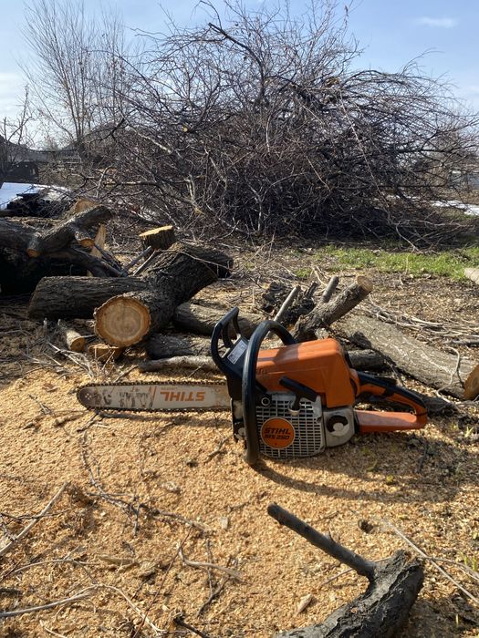 Спил деревьев и Обрезка