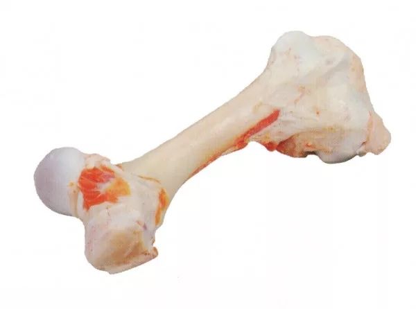 Сахарная кость (говядина)