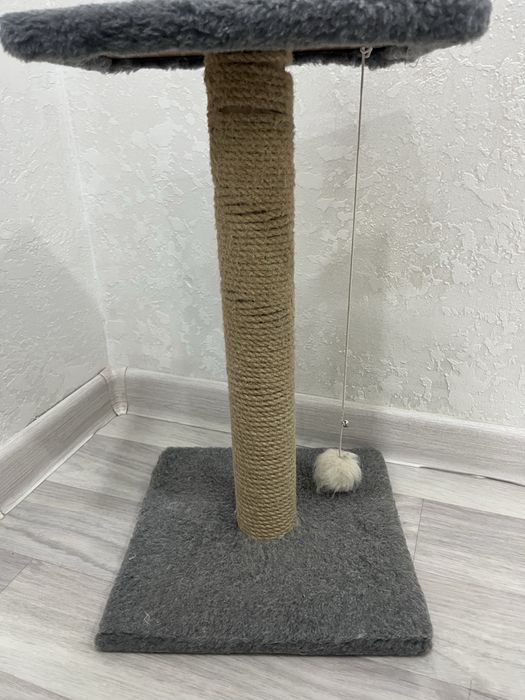 Когтеточка для кошек