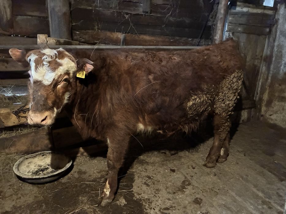 Обмен на камри 35