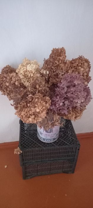 Зимние Букеты  из гортензий.