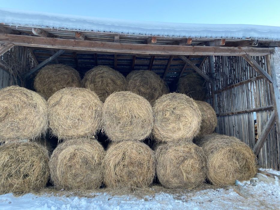 Vând baloți de fân