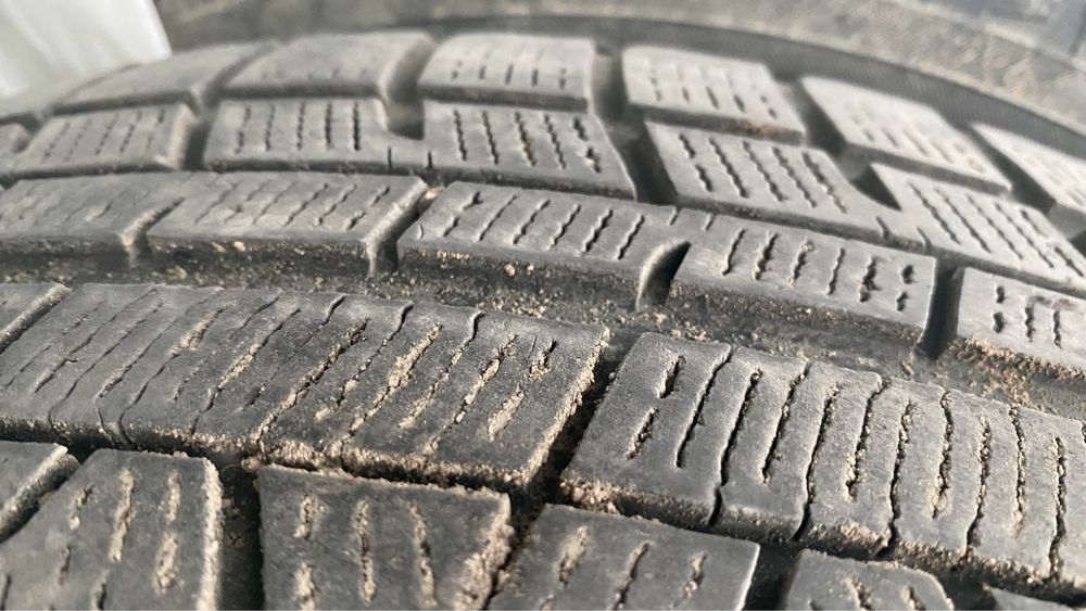 Продам якохаму 4 шт