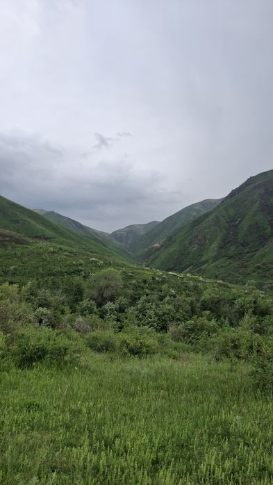 тур, поход в горы