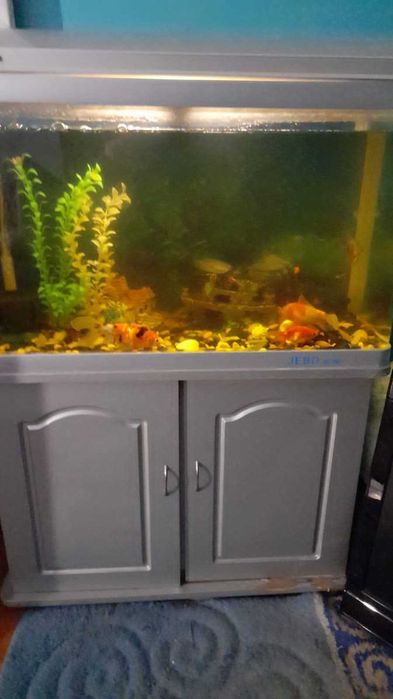 Аквариум домашний