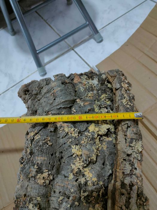 Scorta de pluta pentru terariu sau craft