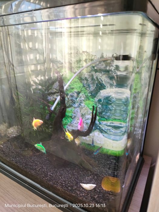 Acvariu 35 litri