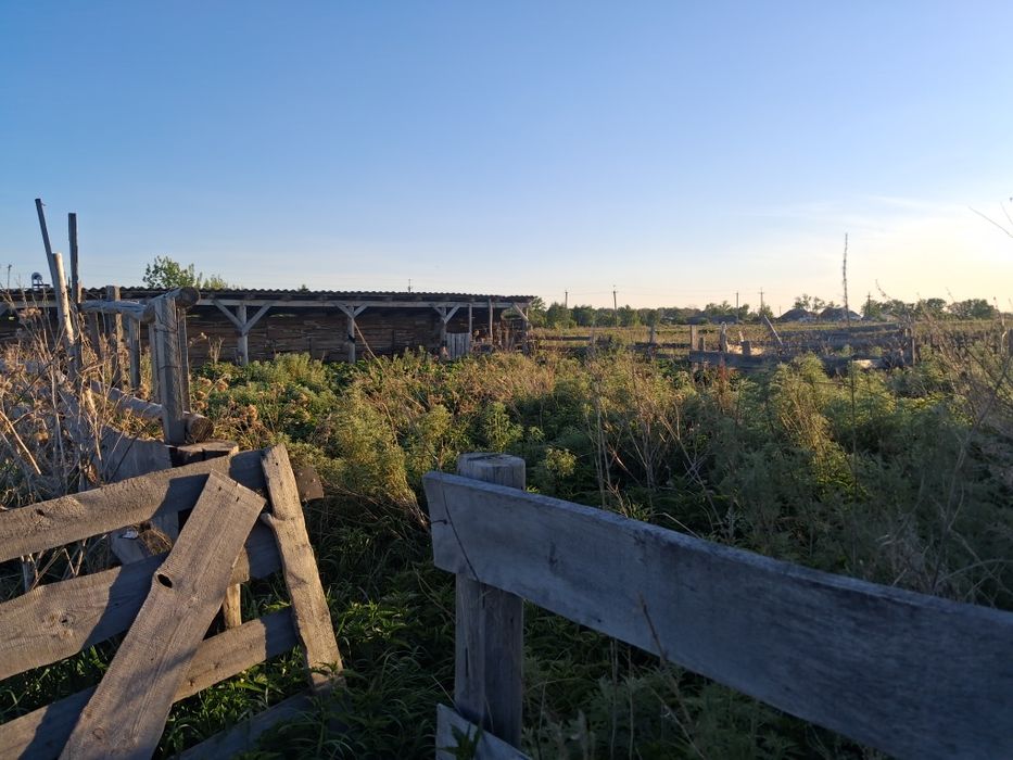 Продам ферму для разведения скота