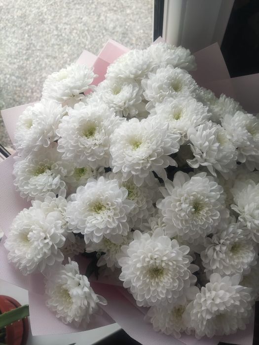Продам цветы белые