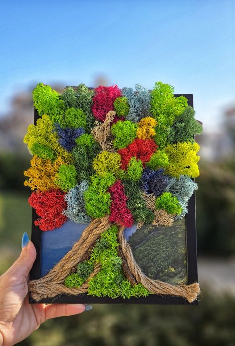 Картини за всеки повод декорирани със скандинавски мъх