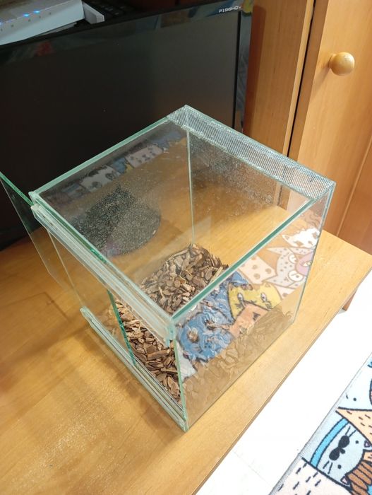 Террариум 20х20х25