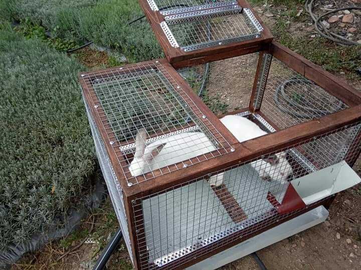 Хранилки за зайци метални