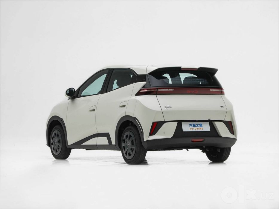 Byd seagull 2026