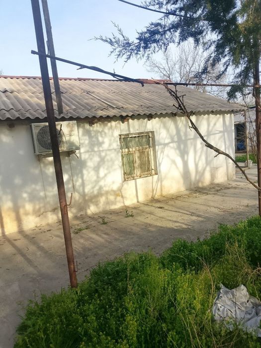 Dacha sotiladi qiziqgan kelib kurishi mumkin