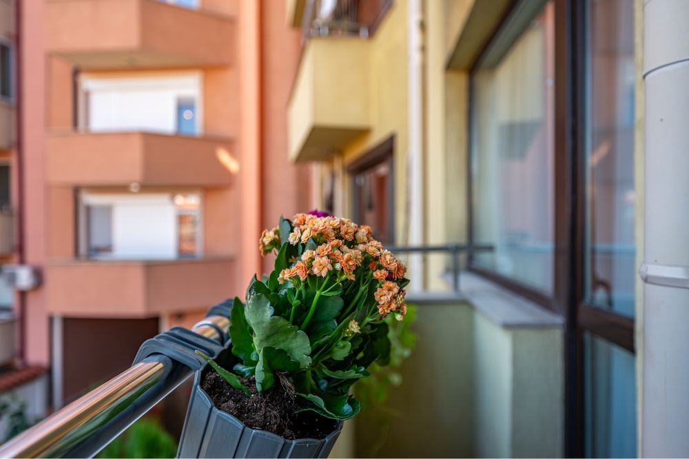 Дава се под наем Двустаен апартамент в Пловдив, Център - 45 кв.м за 550 € - Снимка #3