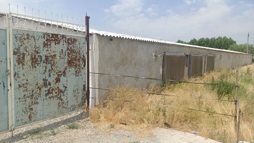 Tayyor biznes sotiladi. Broiler boqish uchun. 24 sotx  Bino 6 sotx