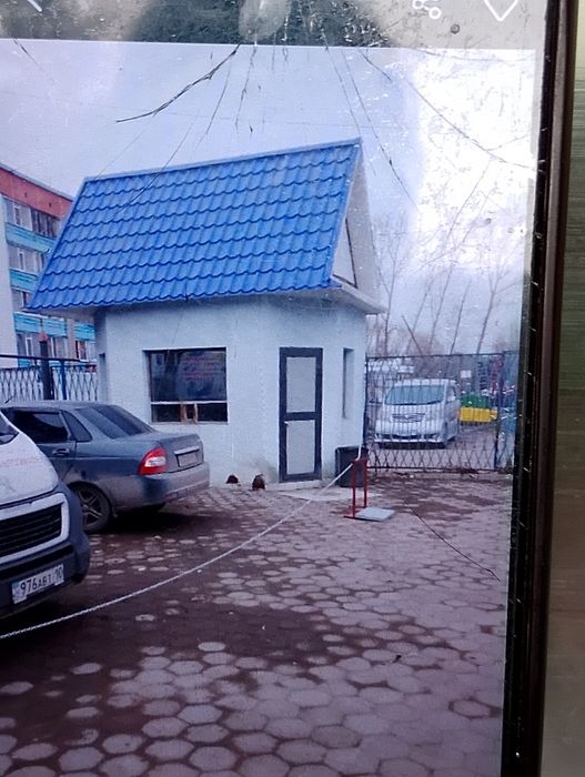 Продам действующий бизнес