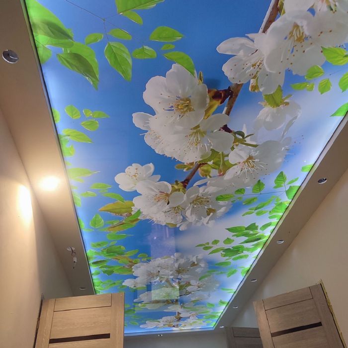 Natyajnie potolki натяжные потолки натяжной потолок