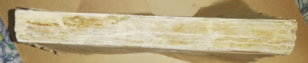 Историк Ключевский. Биография.