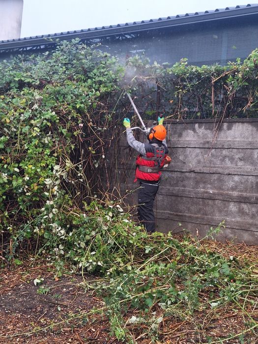 Servicii de întreținere terenuri