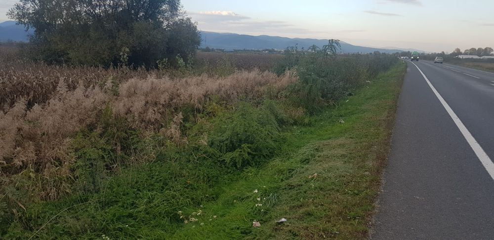 Vand urgent Teren DN Simeria -Hateg(Spate la Petrom) !!!