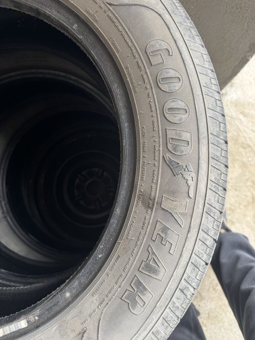 Шина шина шина шина