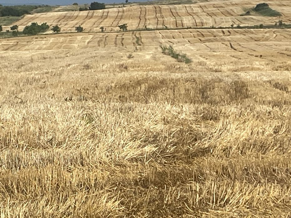 Vand teren extravilan 11600 m2In Cluj Campenesti