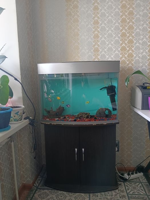 Срочно! Продам аквариум с рыбками.