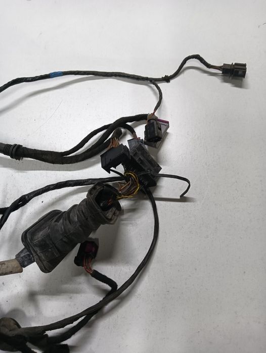 Instalatie Electrica Usa Stanga Fata Seat Altea Xl 5P5, 5P8 2006 - >