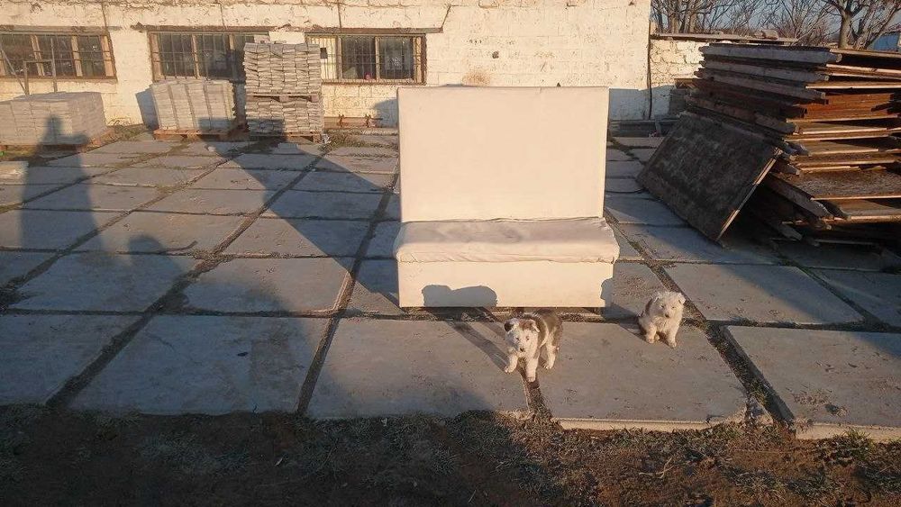 Диваны для бизнеса пс кафе и т.д.