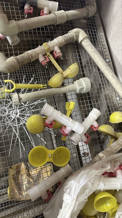 Клетка для перепел