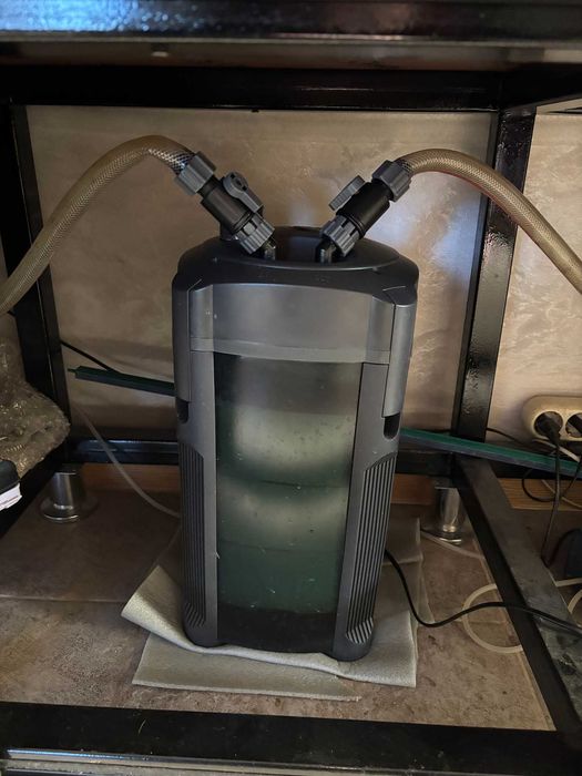 Аквариум с рыбами, можем продать рыб отдельно