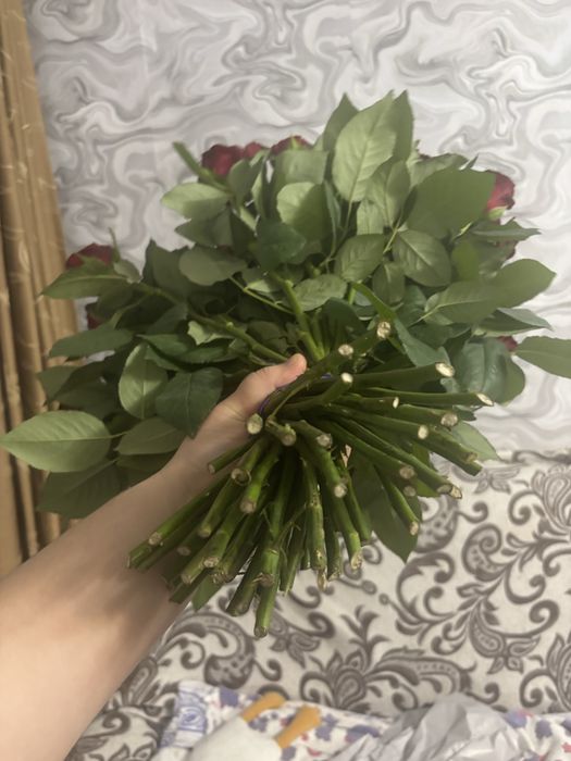Продам свежие розы