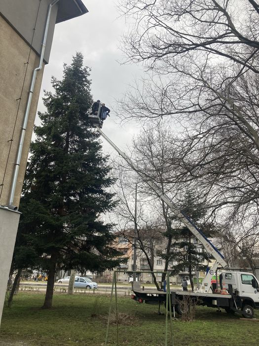 Услуги с автовишка , рязане на дървета , улици , обшивки , реклами,