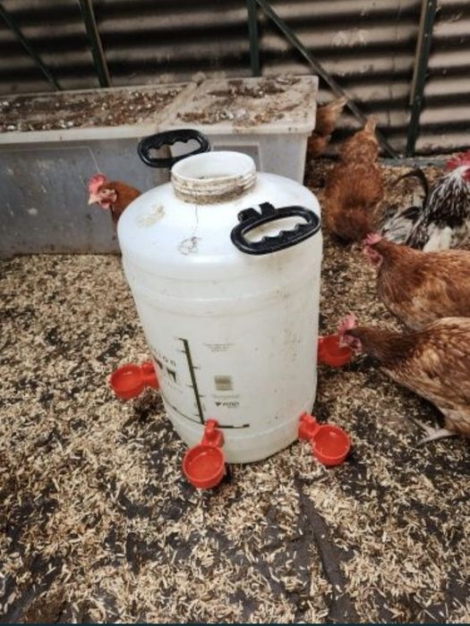 поилки за маркуч ф10 автоматични