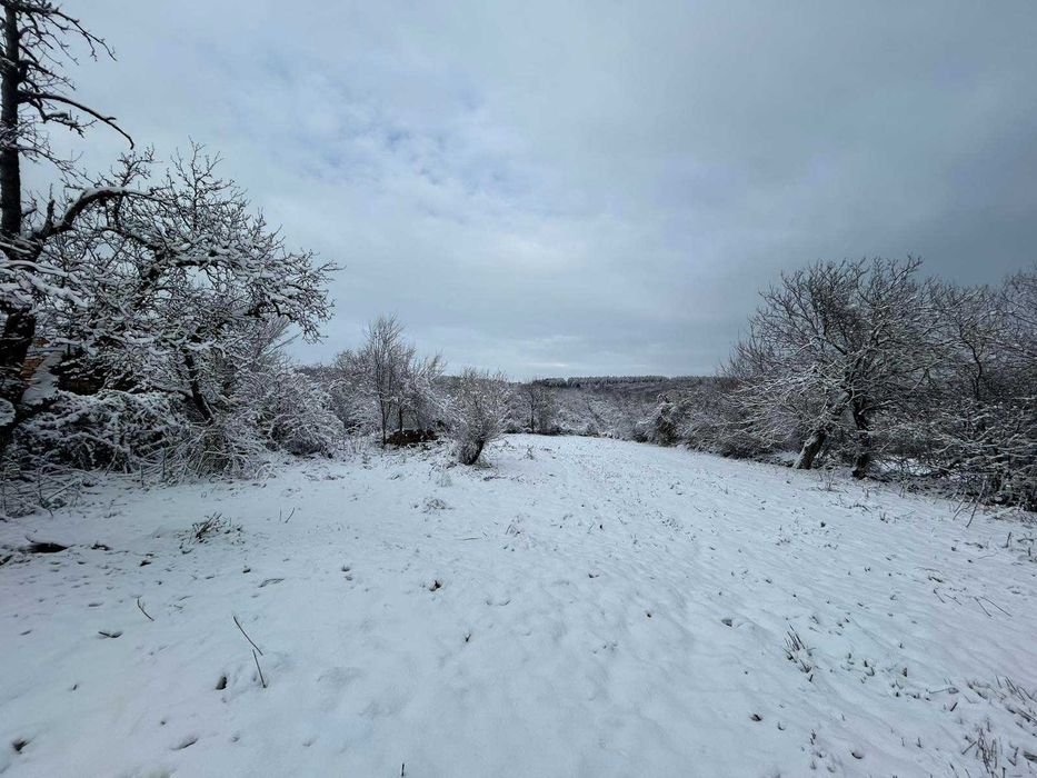 ПРОДАВА имот в с. Бресте, общ. Червен Бряг – ДВЕ КЪЩИ, два двора