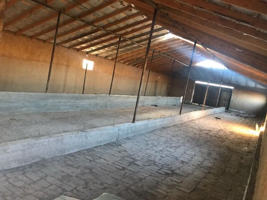 Продается ферма 6,95 га, қора 1350 м2, су, электр бар