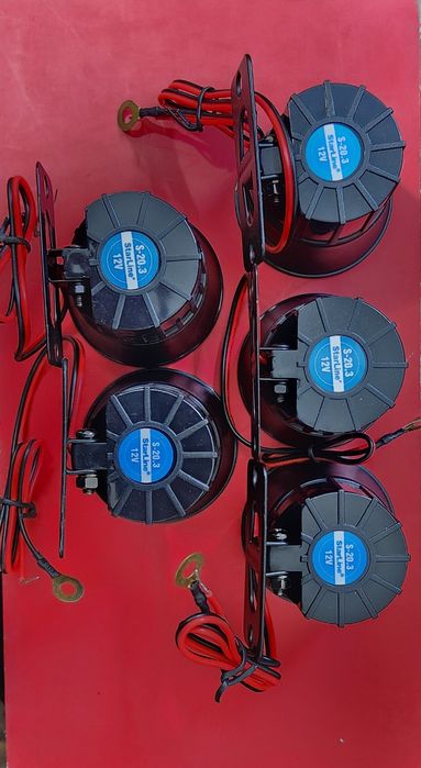 Starline Pandora sirena