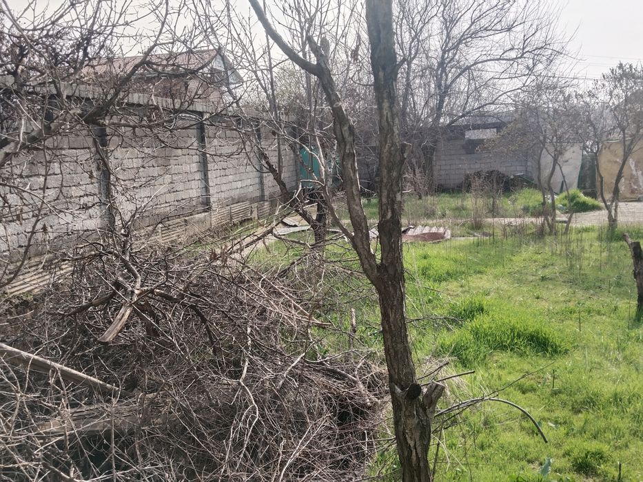 Parkentdan er ijaraga